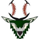 Ashbourne Stags Logo