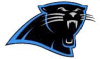 Panthers IBL Team 1998-2005 Logo