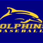 West Clare Dolphins BI Team 2013-2014 Logo