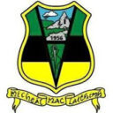 Michael Glaveys GAA Crest
