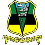 Michael Glaveys GAA Crest