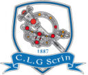 Skryne GFC Crest